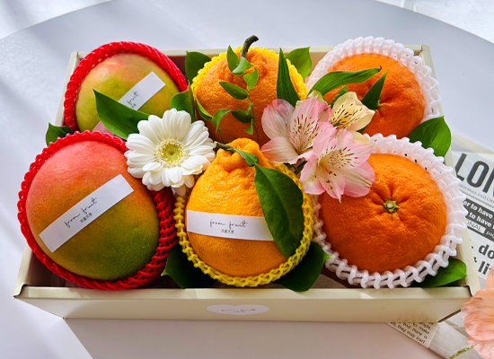 Fruit Gift - original box N02 ���� �ɹ��