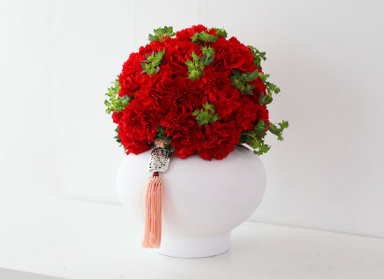 �޺� ���� ī���̼� ���׾Ƹ� ���� �ɹ��