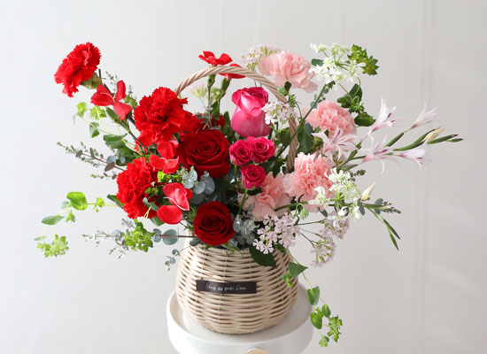 ���� ����� ��� - ������ ���� ���� �ɹ��