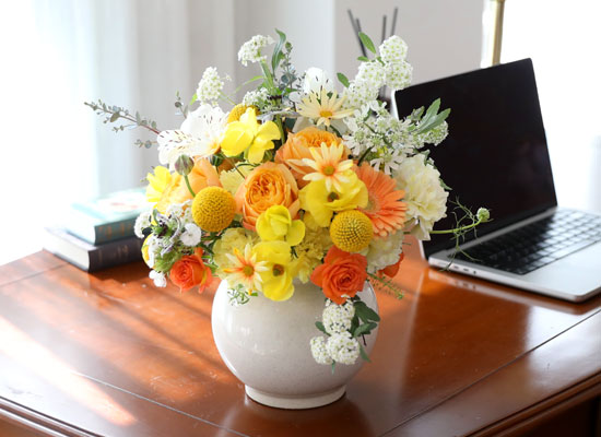 ���� ����� ��� - ������ ���� ���� �ɹ��