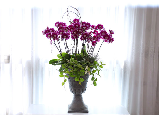 ���ֺ� �� �� �ɱ׸� - ������ �� ���� �ɹ��