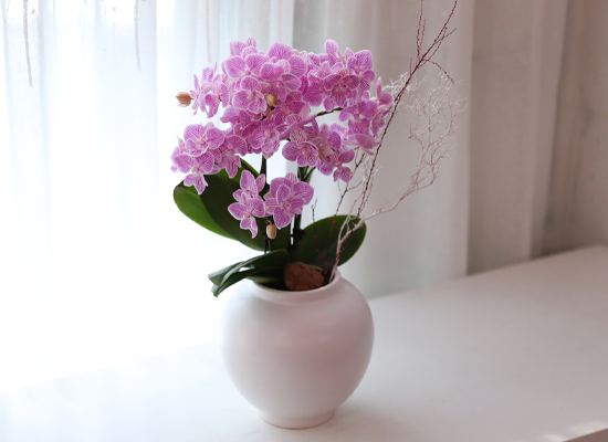 ��ũ�� ���� - ������ �� ���� �ɹ��