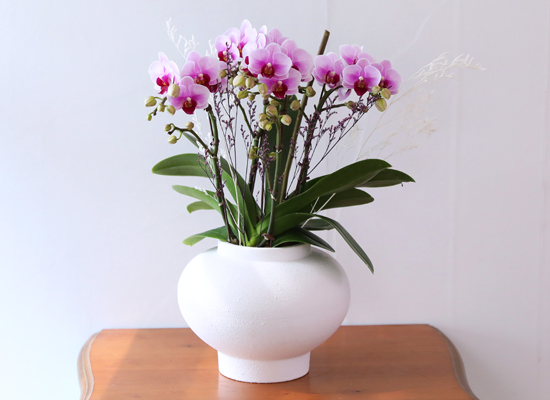 ��äȭ ���� ��ũ �޺� - ������ �� ���� �ɹ��