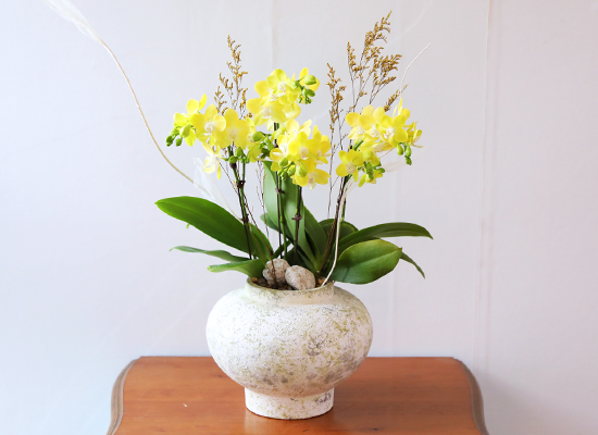 ����� ������ �� - ������ �� ���� �ɹ��