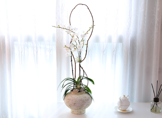 ������ �޹��� - ������ �� ���� �ɹ��