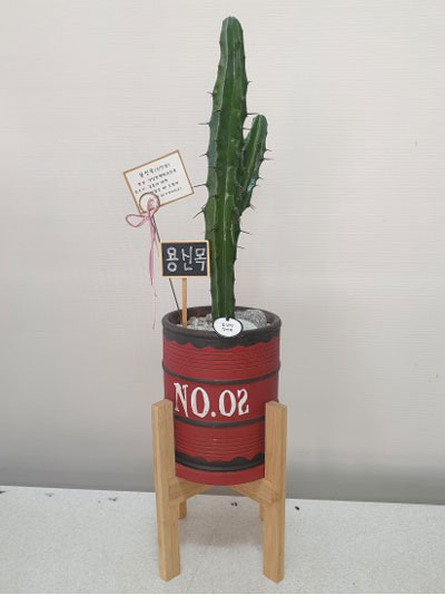 ûϵֽ  ƹö ǥ ɹ ̹ Ÿ