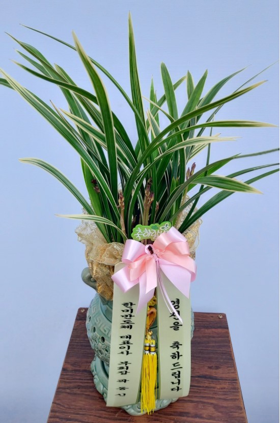 ��⵵���ý� ���� �ɰ��� ��ǥ �ɹ�� �̹��� Ȳ���