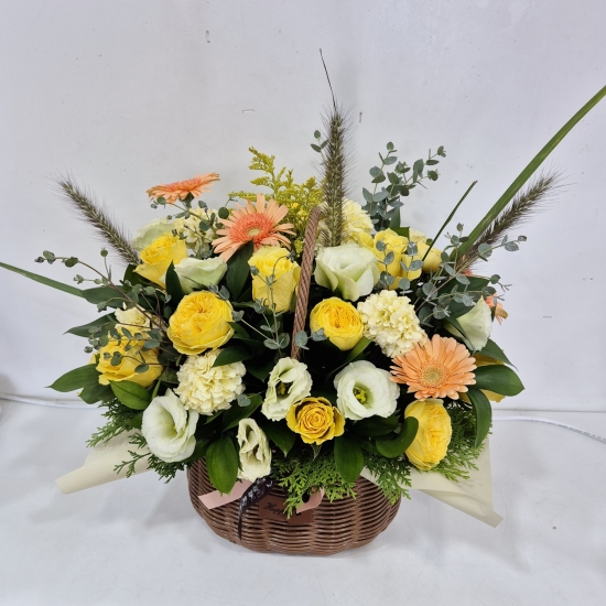 ��⵵���ֽ� ���� �ú�ȭ�� ��ǥ �ɹ�� �̹��� �ɹٱ���