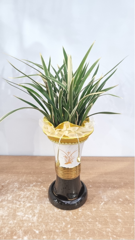 Ȳ��� ���޺� ���� �ɹ��