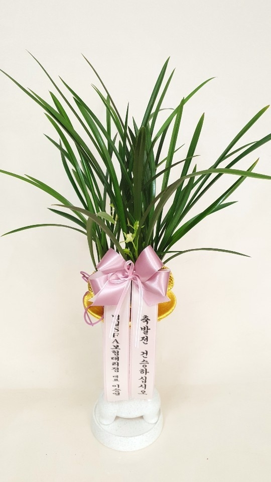 Ưó  ö(rosabellia.com) ǥ ɹ ̹ 