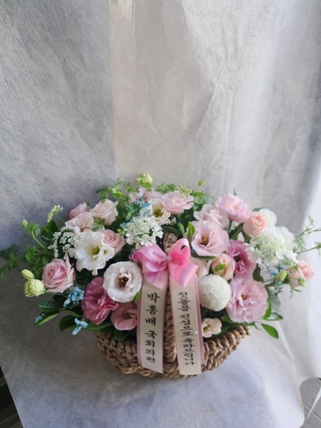 Ưü  ȭ ǥ ɹ ̹ ɹٱ-[/ǹ]Spring loves -  
