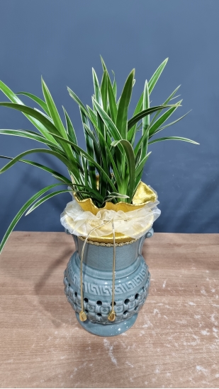 ���� ����� (��ǰ��������) ���� �ɹ��