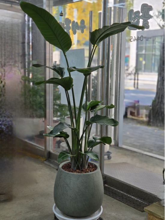 �뱸�����úϱ� ���� ĥ���ɵ��Ž��峻 �켺���� ��ǥ �ɹ�� �̹��� ������