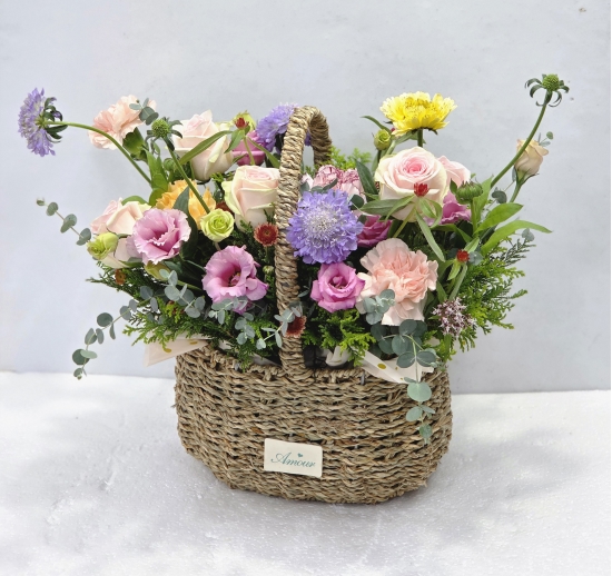 �뱸�����úϱ� ���� ĥ���ɵ��Ž��峻 �켺���� ��ǥ �ɹ�� �̹��� �ɹٱ���