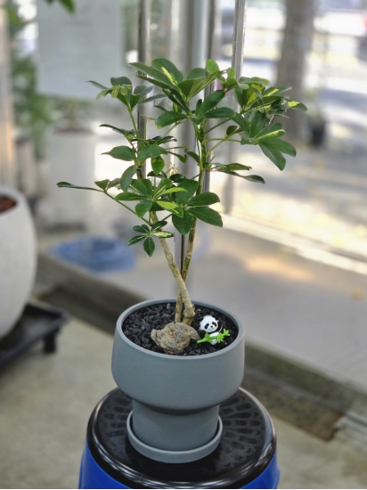 �뱸�����úϱ� ���� ĥ���ɵ��Ž��峻 �켺���� ��ǥ �ɹ�� �̹��� ȫ�����