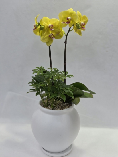 �뱸�����úϱ� ���� ĥ���ɵ��Ž��峻 �켺���� ��ǥ �ɹ�� �̹��� �����