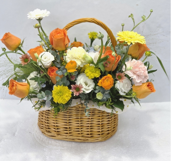 �뱸�����úϱ� ���� ĥ���ɵ��Ž��峻 �켺���� ��ǥ �ɹ�� �̹��� �ɹٱ���