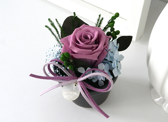Endless Love - ����&���̿÷� ���� �ɹ��