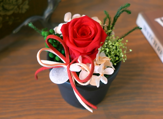 Endless Love - ����&���� ���� �ɹ��