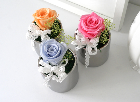 Endless Love - �ǹ�ȭ�� 3set ���� �ɹ��