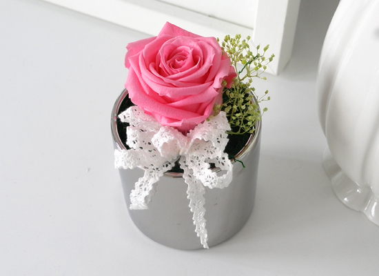 Endless Love - �ǹ�&��ũ ���� �ɹ��
