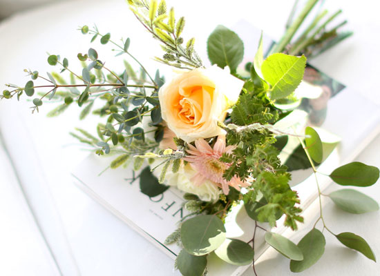 [�ù��ǰ]the Ellie ���� �ɹ��