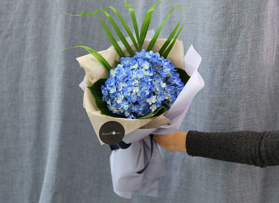 [�ù��ǰ]Fun florals by - ���緹�̵� ���� �ɹ��