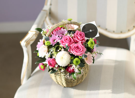 fall in love - ����ϱ� ���� �� ���� �ɹ��