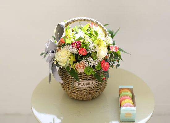 [�ù��ǰ]refreshin basket - �������� ��⸦ ���մϴ� ��ī�� Set ���� �ɹ��