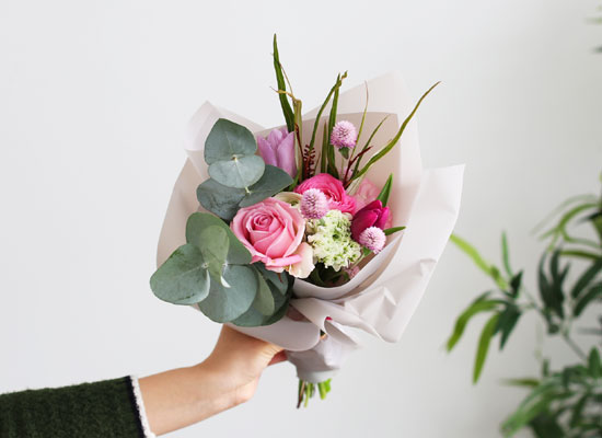 [�ù��ǰ]Fresh spring flower Magenta Hime ���� �ɹ��