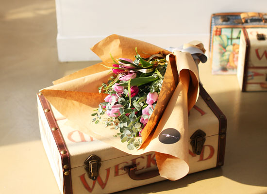[�ù��ǰ]Fresh spring flower Only nostalgia ���� �ɹ��
