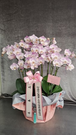 [����] ������ �������� ���ڱ� ���� - ��ũȣ���� (��) �ɹ�� ���� 