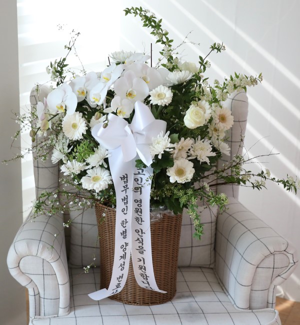 [�ߵ��ٱ���] ������ �ɹٱ��� (����) A �ɹ�� ���� 