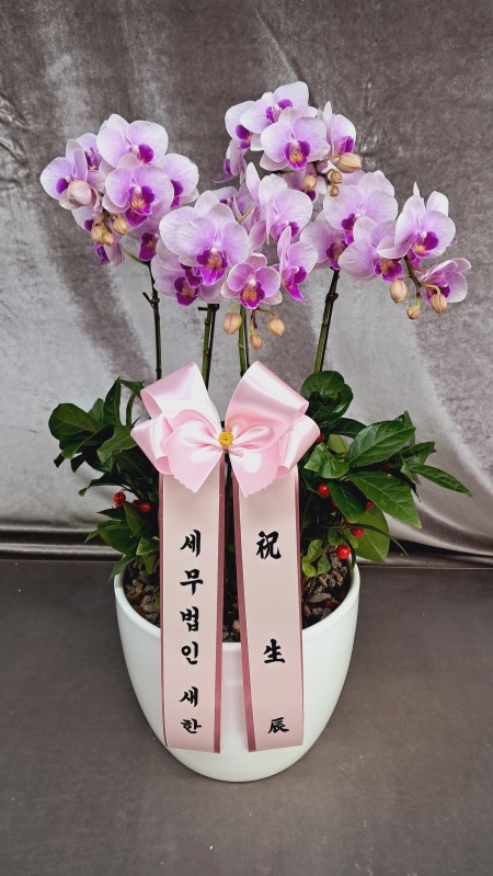 �޽��� �Ǵ� ��Ȱ���� - Smile moon_��Ʋ�� (��) (ȭ�⺯��) �ɹ�� ���� 