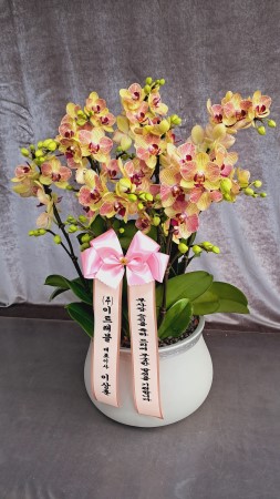 Office & Nature - ���� ��ȭ�ο� ȣ���� ����� (��) �ɹ�� ���� 