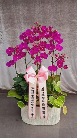 ������ ���� ���� - ��õȫ(��) �ɹ�� ���� 