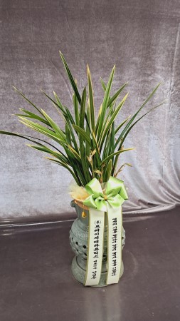 [��������ǹ��]ǰ���� �������� ���� ����� Ȳ��� �ɹ�� ���� 