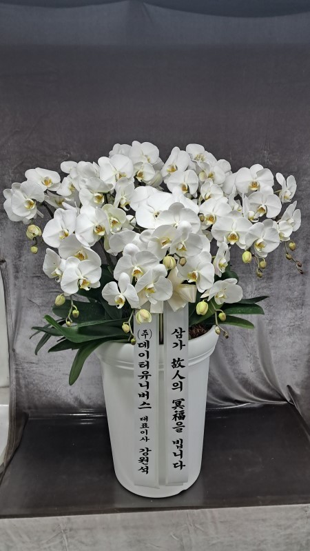 ������ ���ȣ��(2016.NO 1) �ɹ�� ���� 