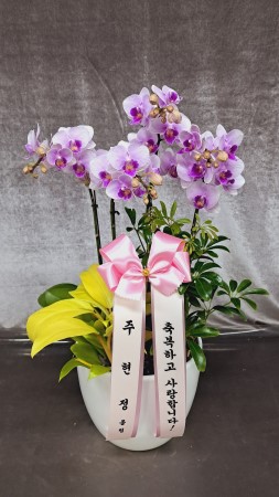 �޽��� �Ǵ� ��Ȱ���� - Smile moon_��Ʋ�� (��) (ȭ�⺯��) �ɹ�� ���� 