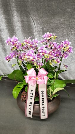 [����,������]����� ������ ���� - ��ũ ȣ���� (��) (ȭ�⺯��) �ɹ�� ���� 