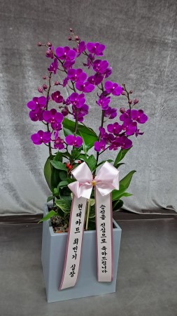 [����]����� ��õȫ (�߼�) (ȭ�⺯��) �ɹ�� ���� 