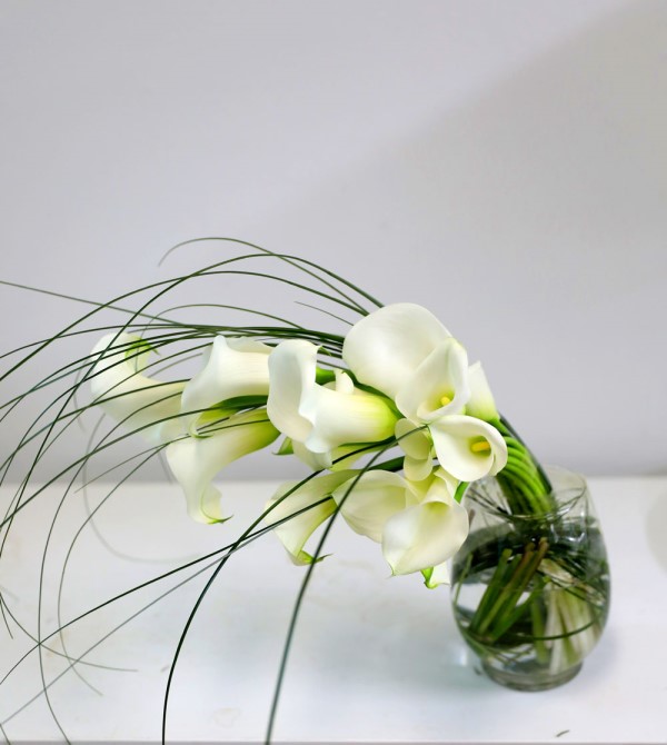 [������] Beautiful Colors - mellow yellow �ɹ�� ���� 