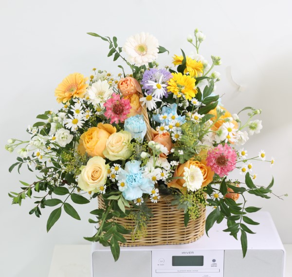 �������� �� ������ �ɹ�� ���� 