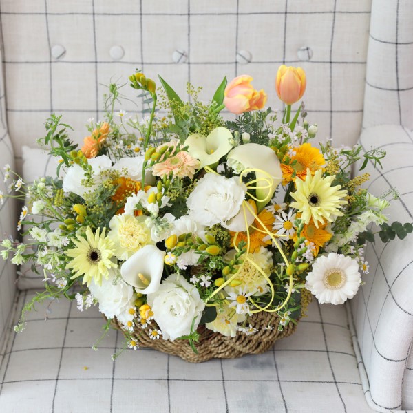 Spring & sweet ���̿� �ɹ�� ���� 