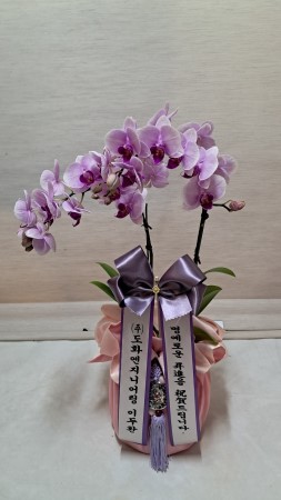 []   ڱ  - ũ̵ (߼) ɹ  