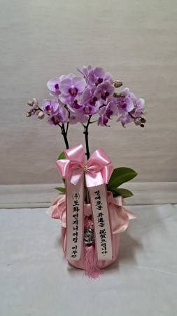 []   ڱ  - ũ̵ (߼) ɹ  