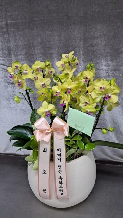 Office & Nature - �ü��� �ӹ��� �ϴ� ȣ���� ���� (��) �ɹ�� ���� 