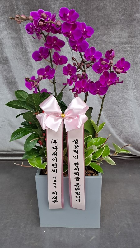 [����]����� ��õȫ (�߼�) (ȭ�⺯��) �ɹ�� ���� 