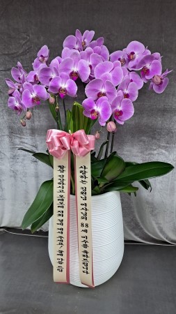 �����ôº��� ǰ��!! - �ö��119 ȣ���� �ɹ�� ���� 