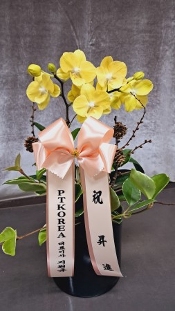 Office & Nature - ��� �̴� ȣ���� & ���� (��) �ɹ�� ���� 